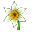 Nergis