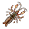 Yabbie yengeci