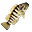 Çin levreği